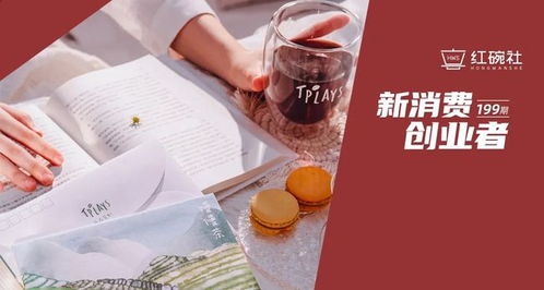 讓茶道融入生活場景 tplays如何以創新體驗點亮新中式原葉茶